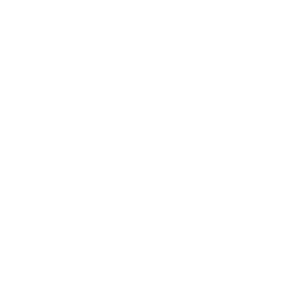 custom_website
